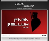 para bellum AMHE